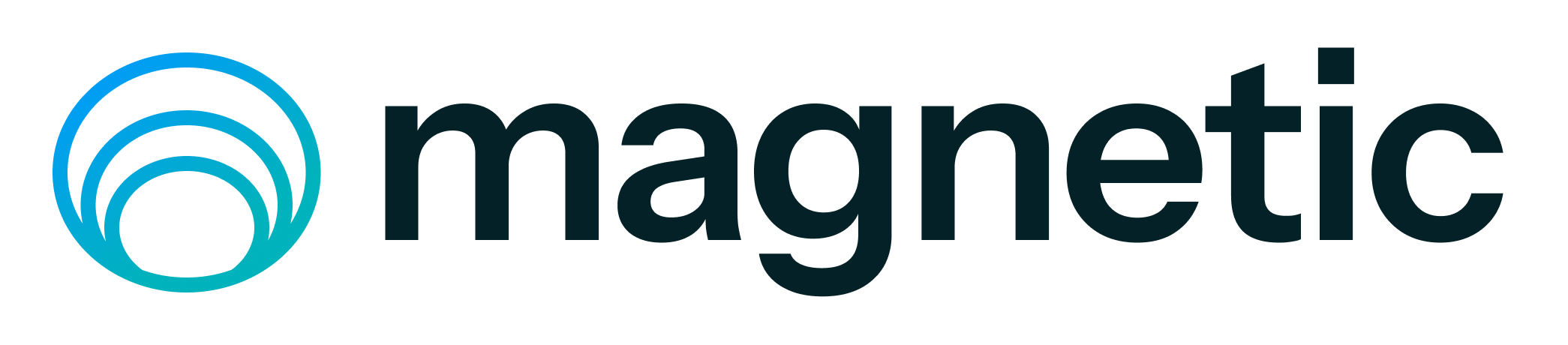 Magnetic